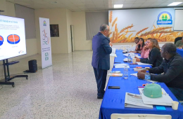 Diseño sin título (15)