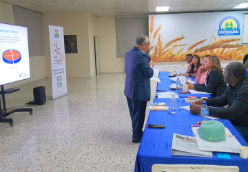 Diseño sin título (15)